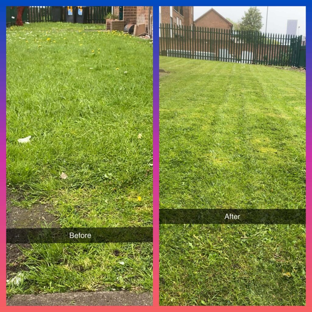 Lawn maintenance before and after, showing a freshly cut and tidied lawn